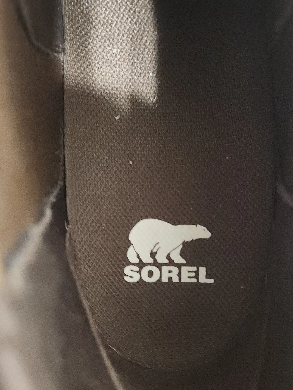 Sorel Evie II Chelsea Boot in Taffy Brown Size 10